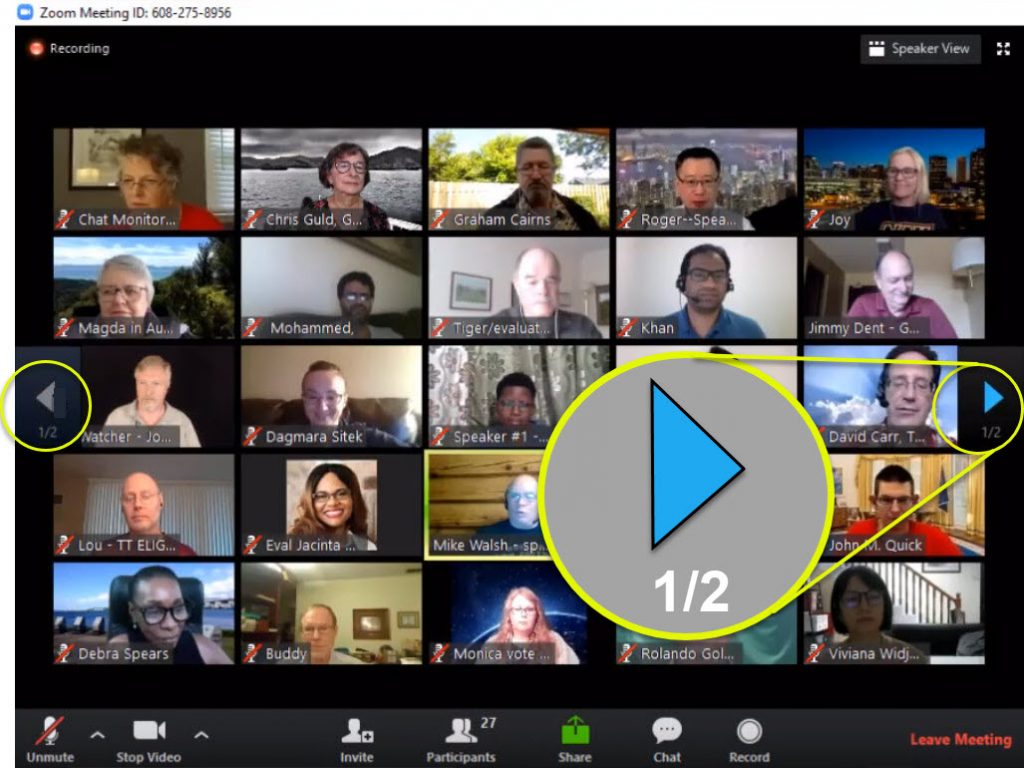Zoom speaker / gallery view can’t see everyone?