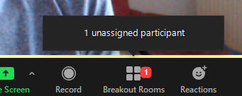 Breakout Rooms - unassigned person