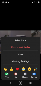 Zoom Android phone - audio connection (3)