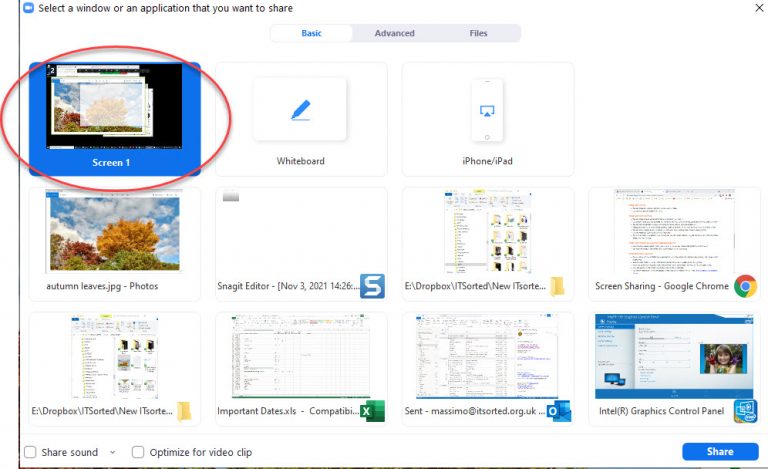 Screen Sharing
